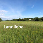THEMA - LANDLIEBE